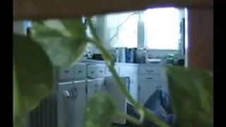 Çılgın Annenin Hazin Sonu
